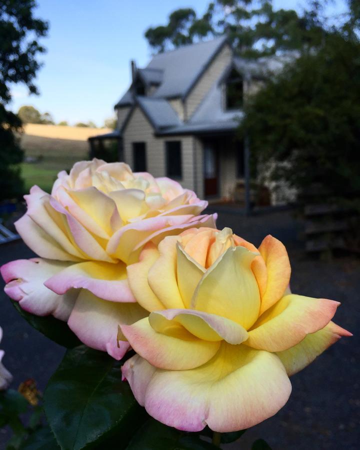 Brigadoon Cottages Haunted Hills Екстер'єр фото