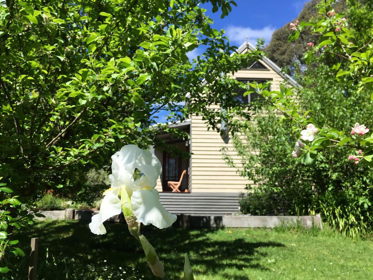 Brigadoon Cottages Haunted Hills Екстер'єр фото